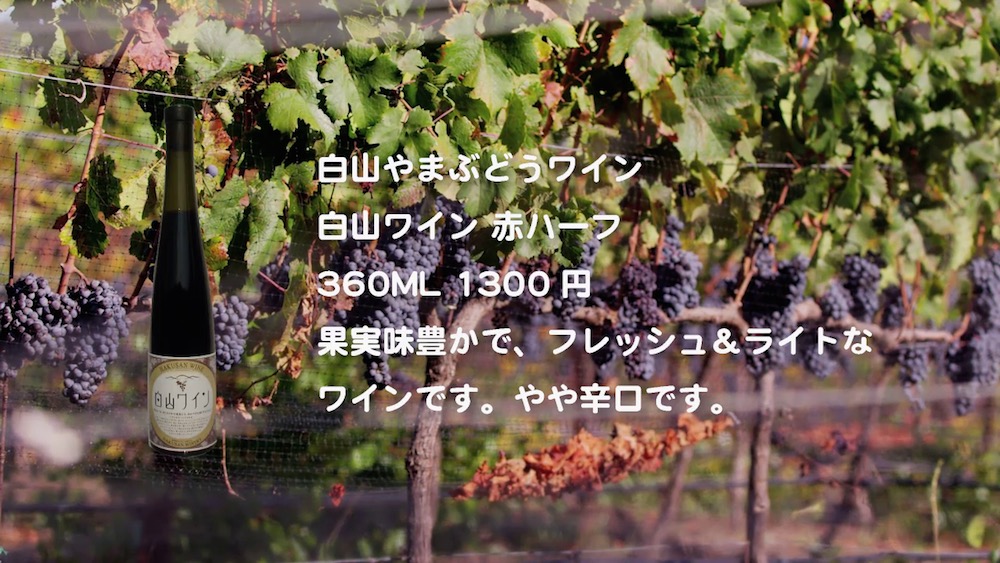 wine-2016-13