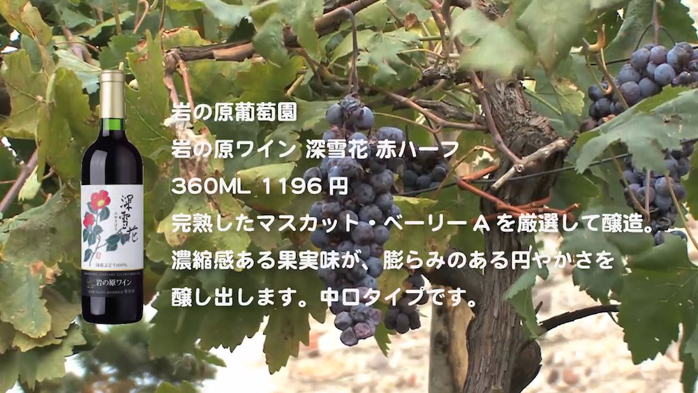 wine-2016-16