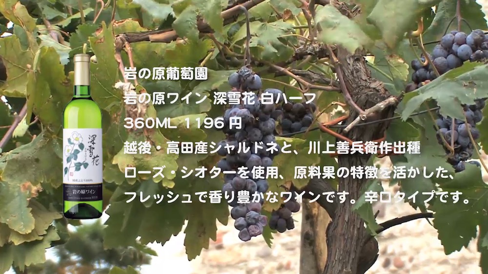 wine-2016-17